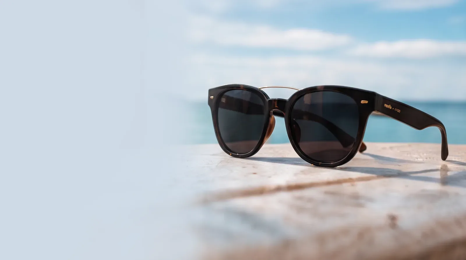 Tortoiseshell sunglasses on a stone ledge by the sea